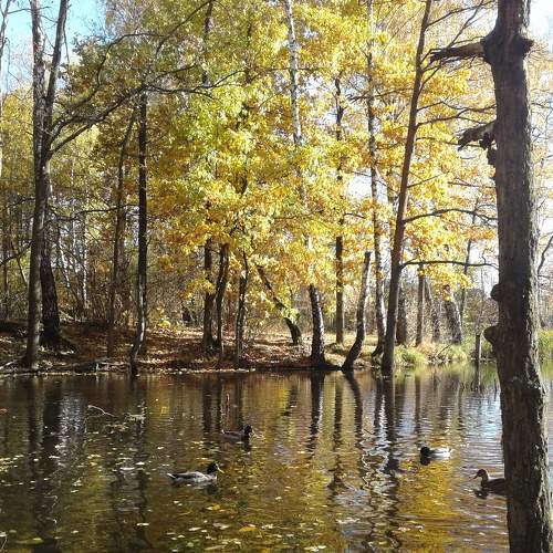 Photo #8466413
