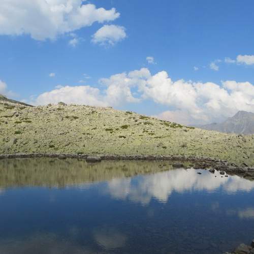 Photo #8466435