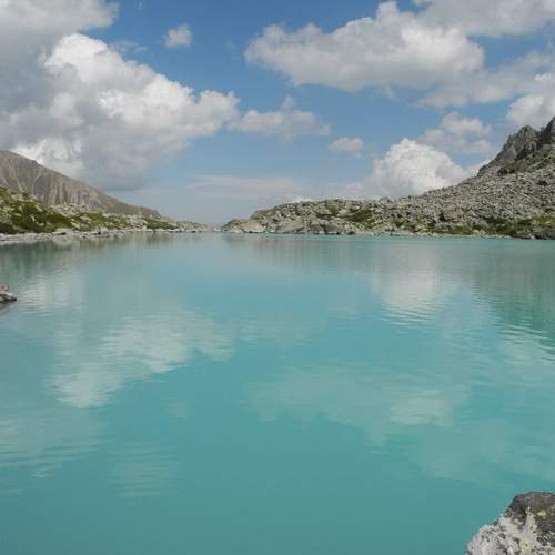 Photo #8466438