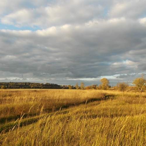 Photo #8466671