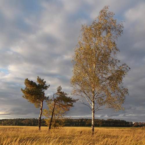 Photo #8466672