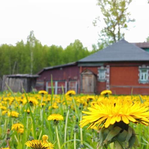 Photo #8466741
