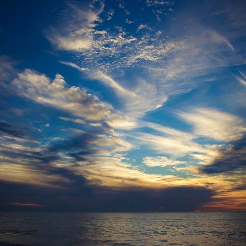 Photo #8467502
