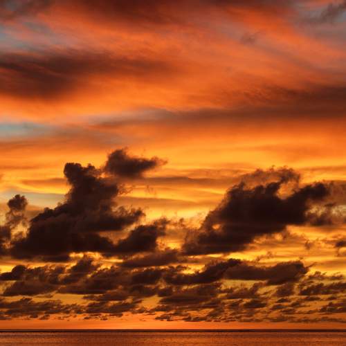 Photo #8467504