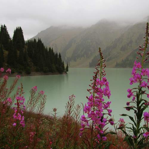 Photo #8467871