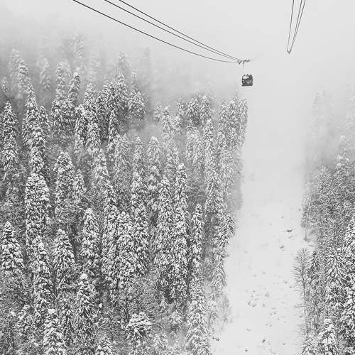 Photo #8467977