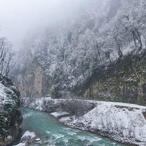 Photo #8468018