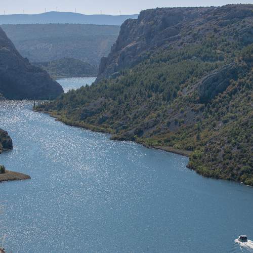 Photo #8468124
