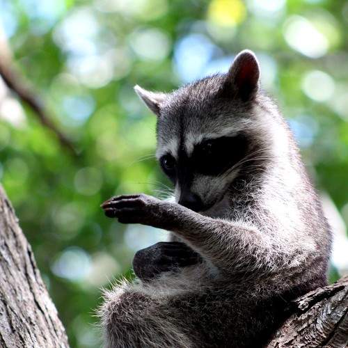 Photo #8468150