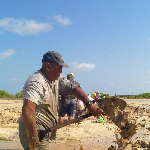 Photo #8468372