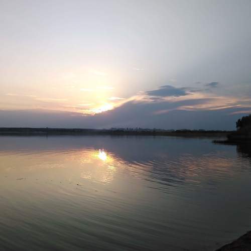 Photo #8468767