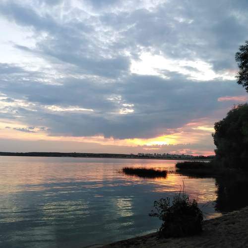 Photo #8468768