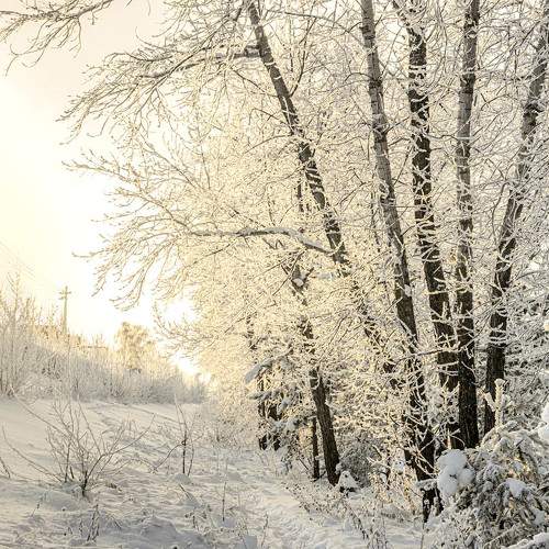 Photo #8468823