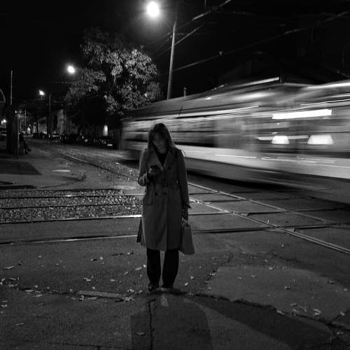 Photo #8469290