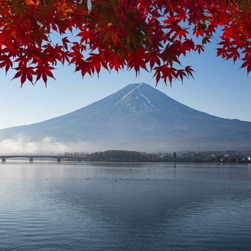 Photo #8469324