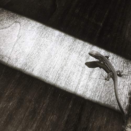Photo #8469504