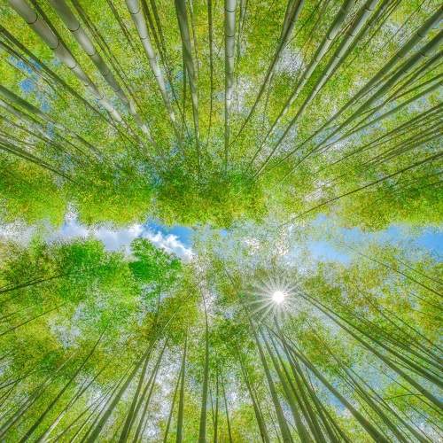 Photo #8469506