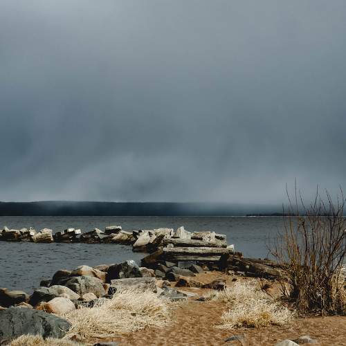 Photo #8469555