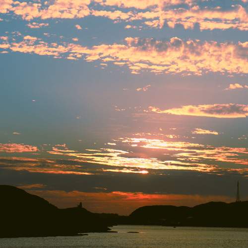 Photo #8469556