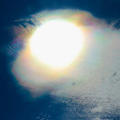 Photo #8469557