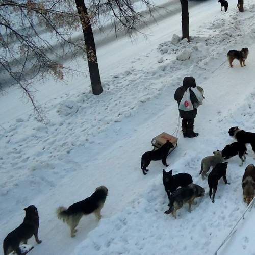 Photo #8469761