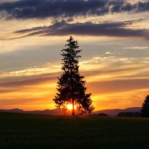 Photo #8469934