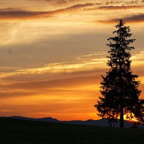 Photo #8469941