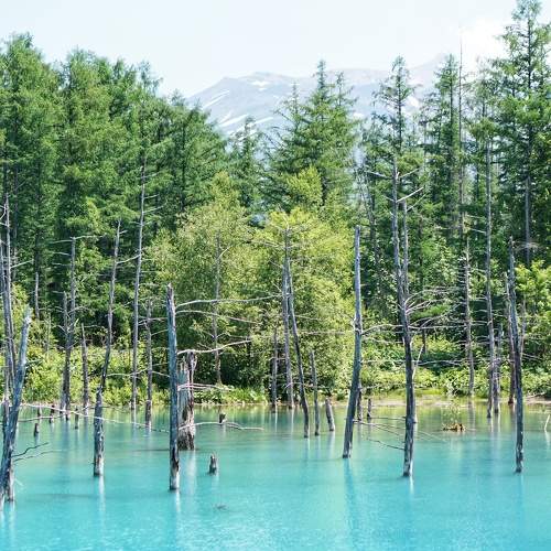 Photo #8470066