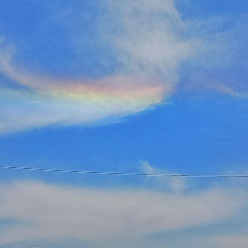 Photo #8470108