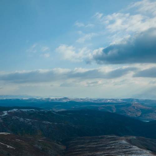 Photo #8470298