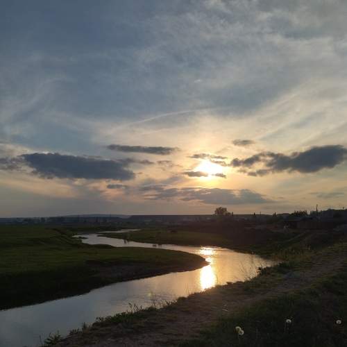 Photo #8470393