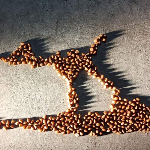 Фотография #8470551