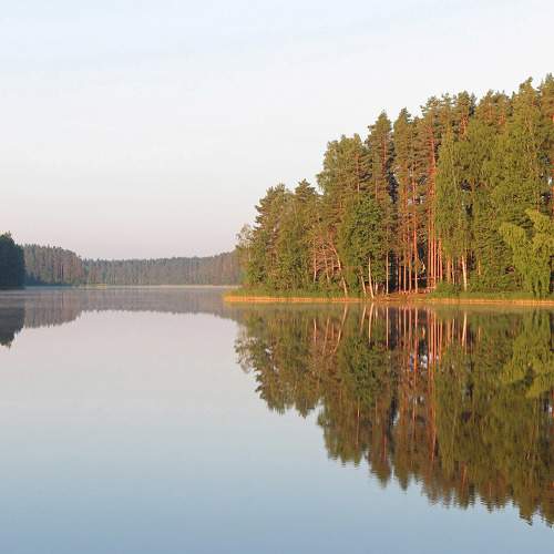 Photo #8470628