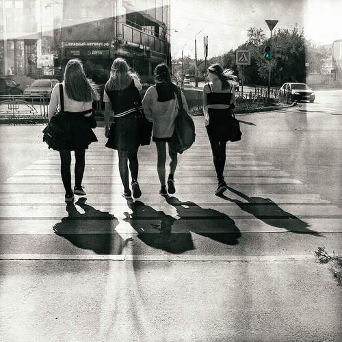 Photo #8470731