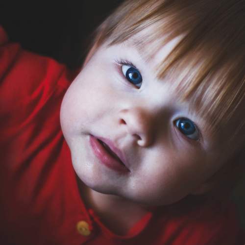 Photo #8470811