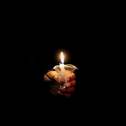 Photo #8470860