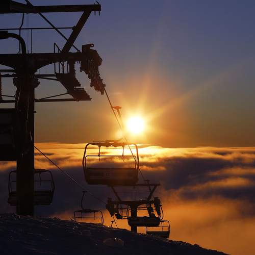 Photo #8470946