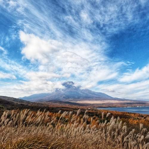 Photo #8470972