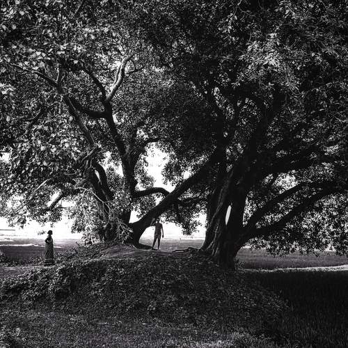 Village Stories