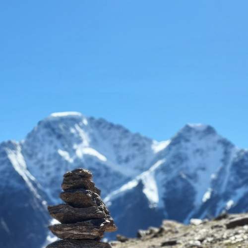 Photo #8471732
