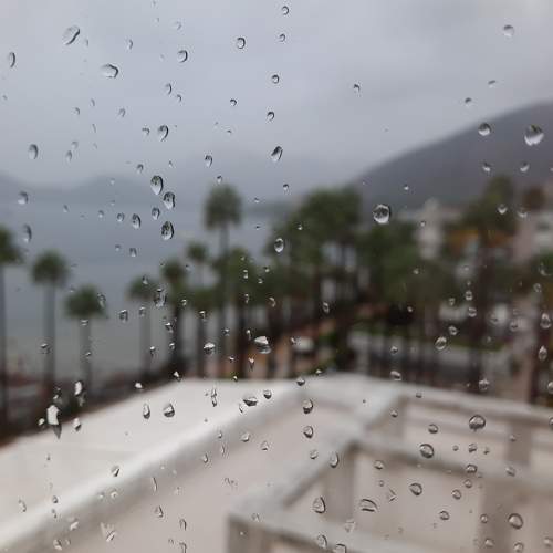 Photo #8471975