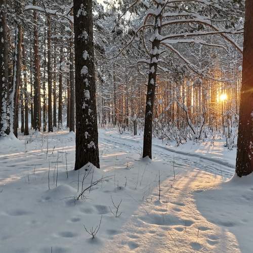 Photo #8471993