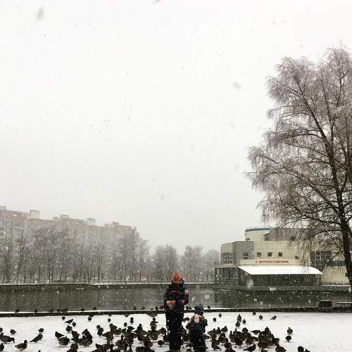 Photo #8472048