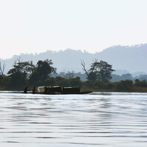 Photo #8472054