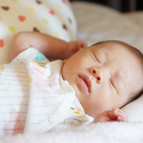 Photo #8472082
