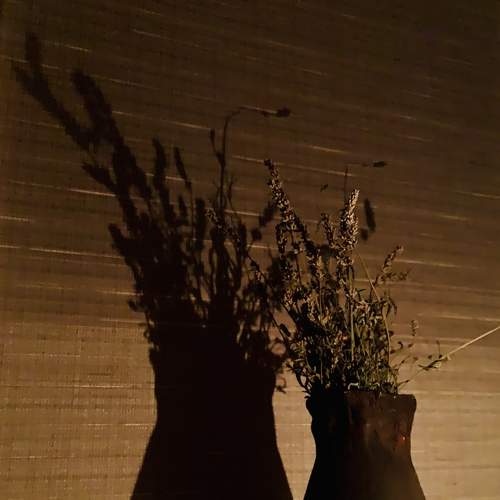 Photo #8472221