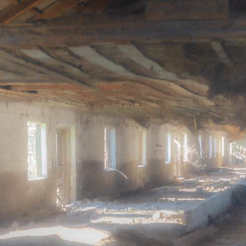 Photo #8472402