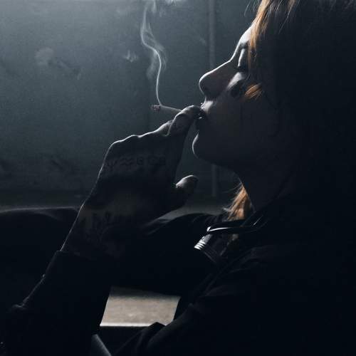 Photo #8472505
