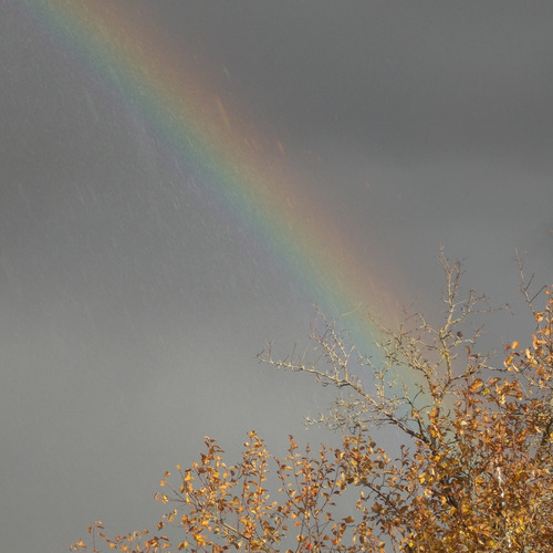 Photo #8472520