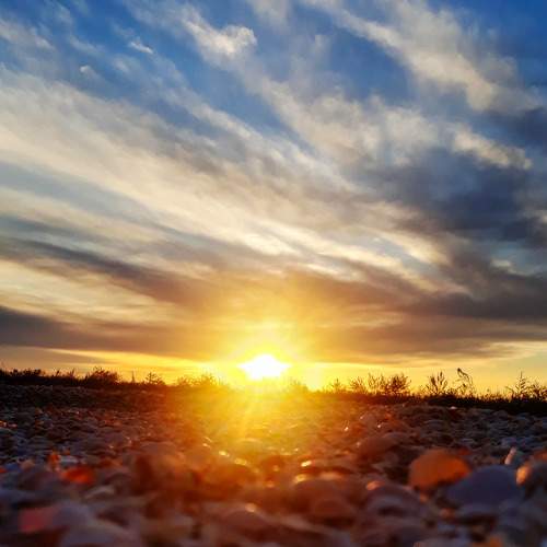 Photo #8472728